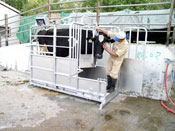 Relocation Company in Sri Lanka